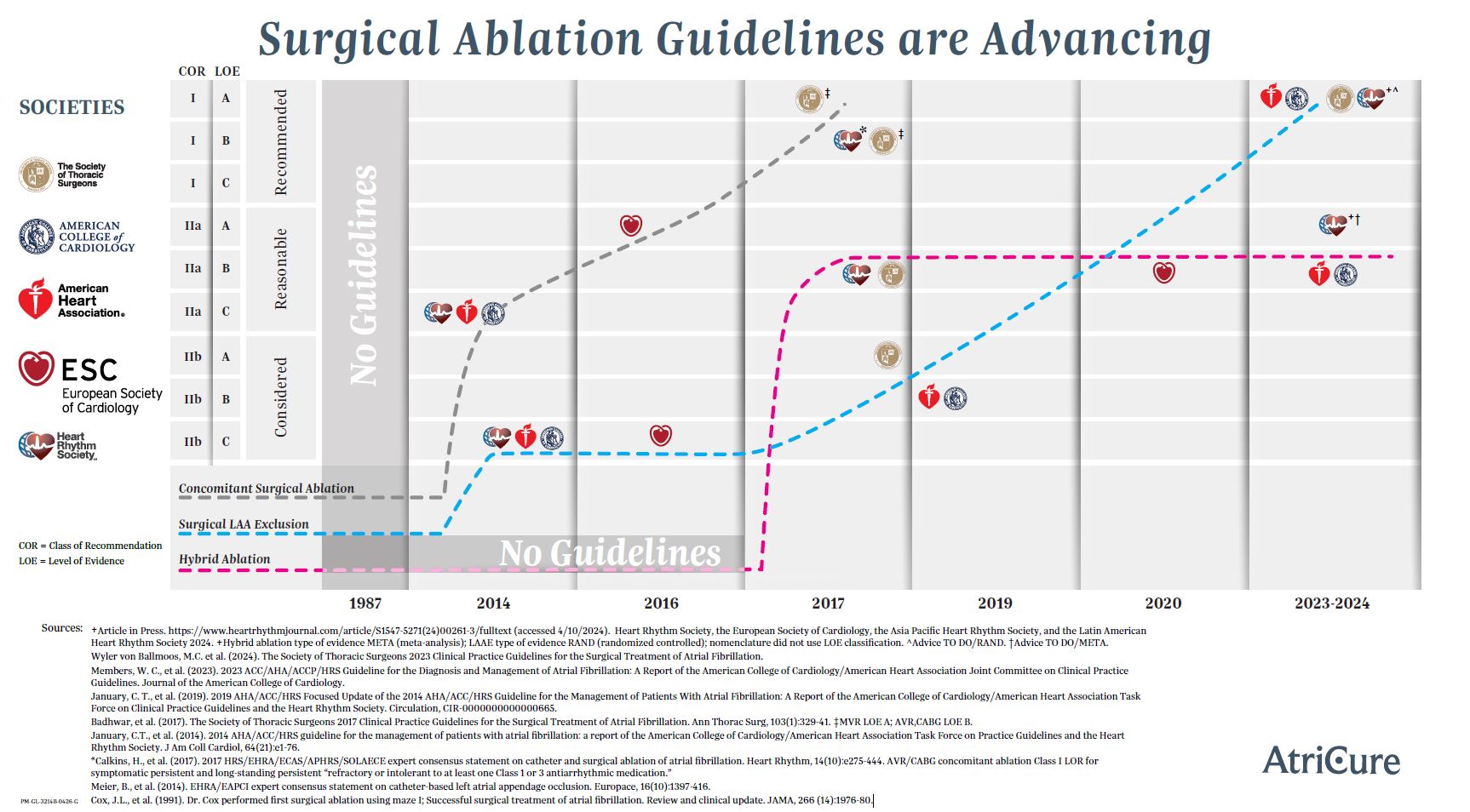 Surgical Ablation Society Guidelines